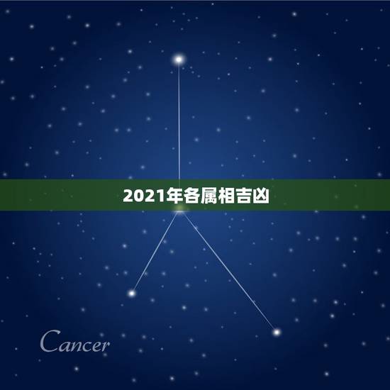 2021年各属相吉凶，2021年躲星生肖对照表