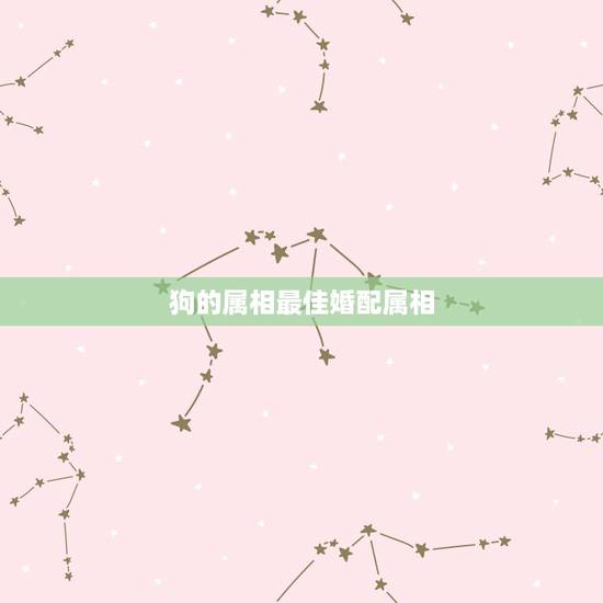狗的属相最佳婚配属相，属狗和什么属相最配 属狗的属相婚配表大全