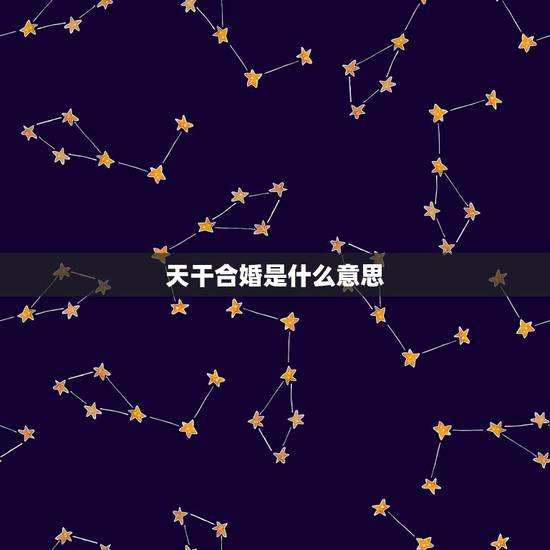 天干合婚是什么意思，八字合婚中天干地支皆会合什么意思？来个人讲解下！