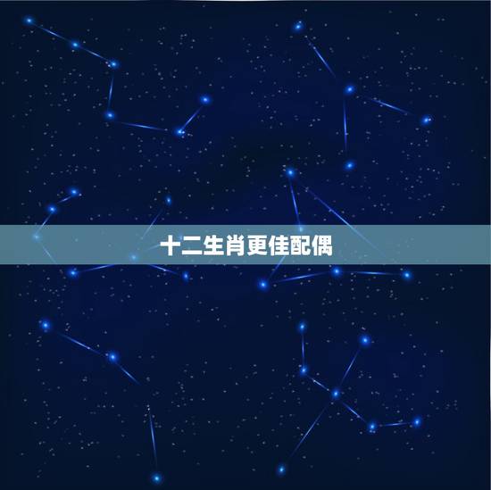 十二生肖更佳配偶，2022 十二生肖更佳婚配表