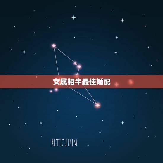 女属相牛最佳婚配，属牛女和哪个属相最配