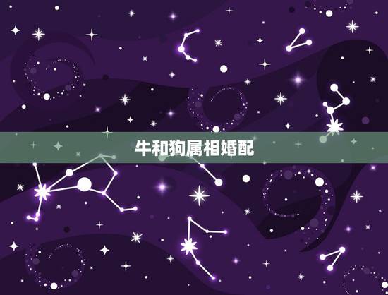 牛和狗属相婚配，男属牛女属狗属相婚配吗