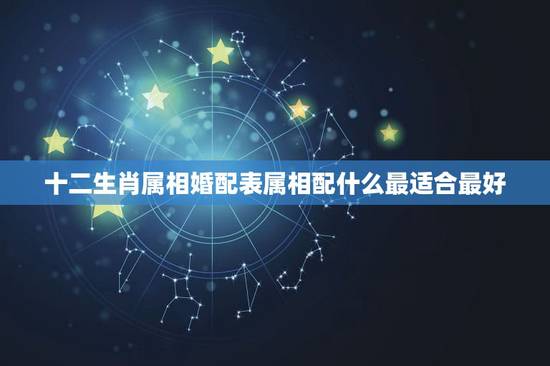 十二生肖属相婚配表属相配什么最适合最好，什么属相配属相最好