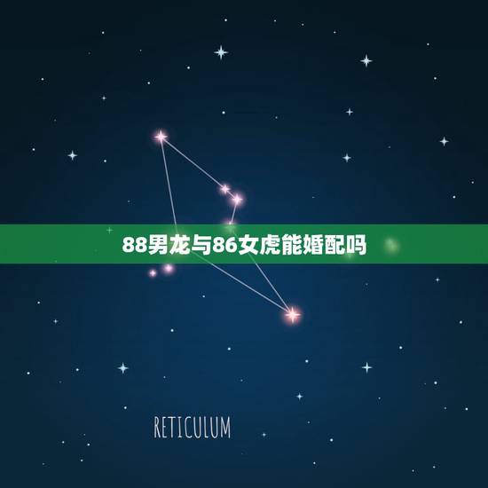 88男龙与86女虎能婚配吗,86年虎女和88年龙男婚配如何 88男龙与86女虎能婚配吗,86年虎女和88年龙男婚配如何