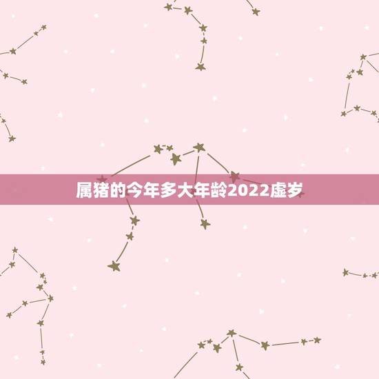 属猪的今年多大年龄2022虚岁，2022年40岁是哪一年出生