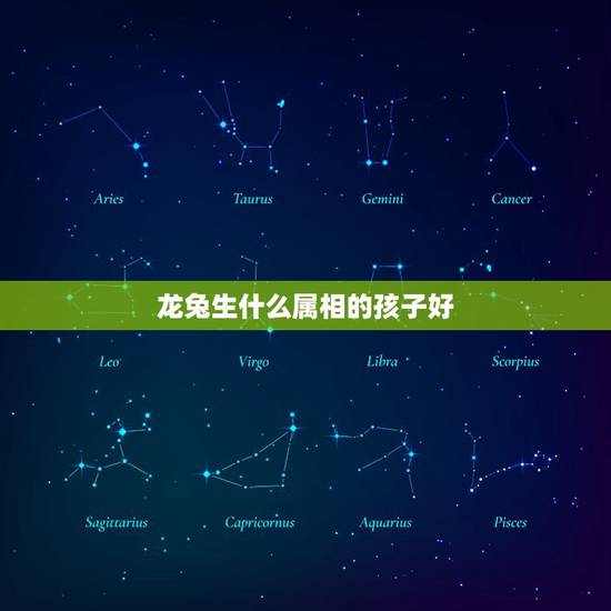 龙兔生什么属相的孩子好，属龙的生什么属相的宝宝好