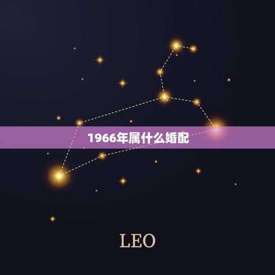 1966年属什么婚配,66年的马和啥属相合婚 1966年属什么婚配,66年的马和啥属相合婚
