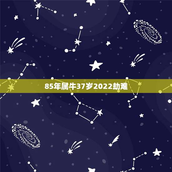85年属牛37岁2022劫难 85年属牛人37岁容易发财吗