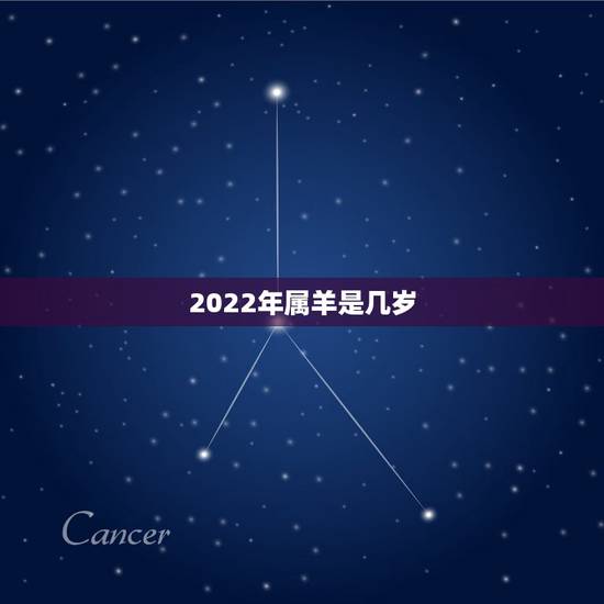 2022年属羊是几岁，79属羊未来20年大运