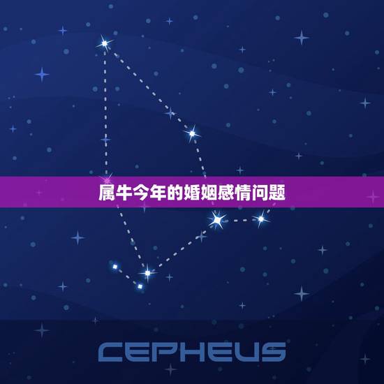 属牛今年的婚姻感情问题，男1985属牛今年感情好吗？