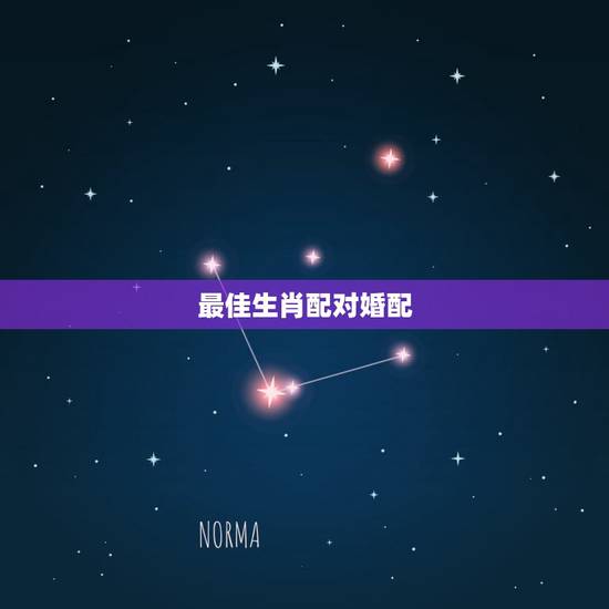 最佳生肖配对婚配，十二生肖配对十二星座配对？
