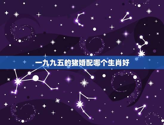 一九九五的猪婚配哪个生肖好,-九九五年生肖猪女性婚配 一九九五的猪婚配哪个生肖好,-九九五年生肖猪女性婚配