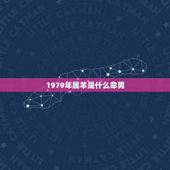 1979年属羊是什么命男，1979年属羊41岁有一灾