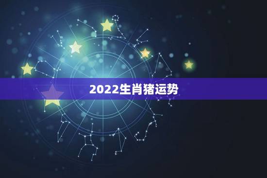 2022生肖猪运势，2022年12生肖运势解析