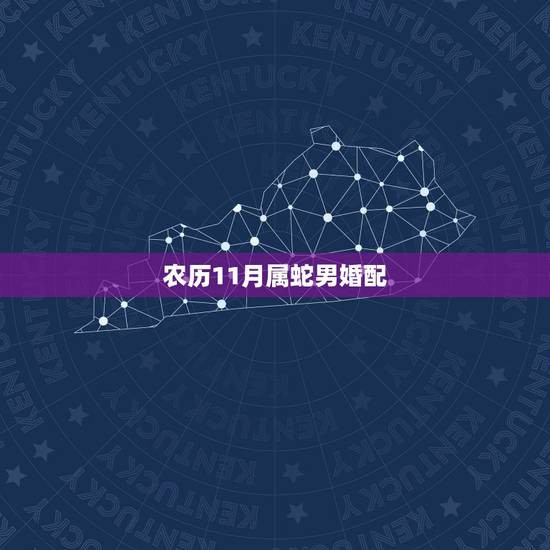 农历11月属蛇男婚配,男属蛇十二月出生和什么属相可以婚配 农历11月属蛇男婚配,男属蛇十二月出生和什么属相可以婚配