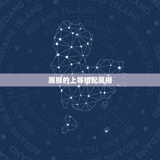 属猴的上等婚配属相，属猴男爱上属狗女