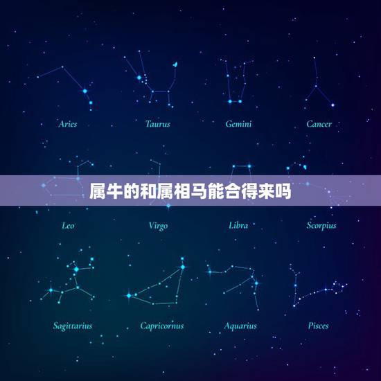 属牛的和属相马能合得来吗,属牛的跟属马的在一起真的不合适吗? 属牛的和属相马能合得来吗,属牛的跟属马的在一起真的不合适吗?