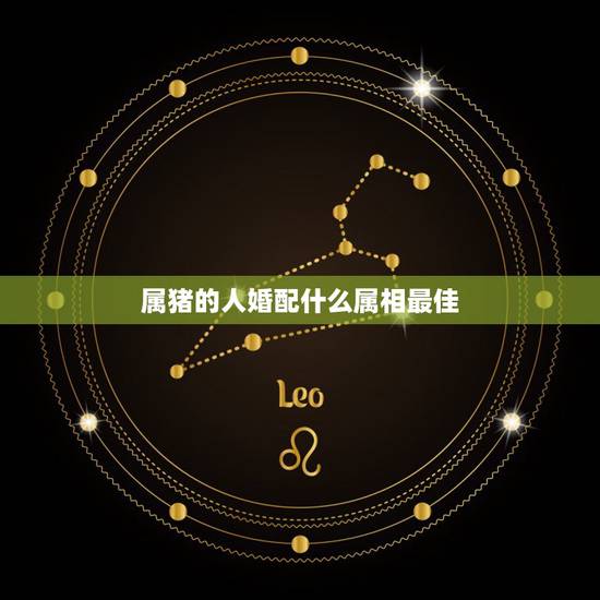 属猪的人婚配什么属相最佳,属猪的与什么相配最好 属猪的人婚配什么属相最佳,属猪的与什么相配最好