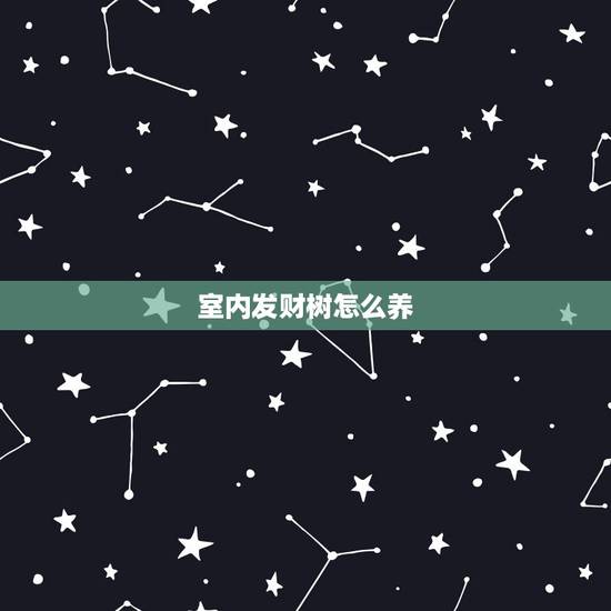 室内发财树怎么养，发财树没根怎么养啊