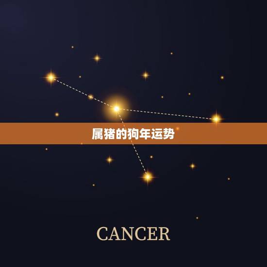 属猪的狗年运势,94年属狗的女和95年属猪男的婚姻运势 属猪的狗年运势,94年属狗的女和95年属猪男的婚姻运势
