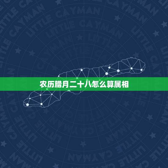 农历腊月二十八怎么算属相，1991年属什么生肖 ？农历腊月二十八是什么