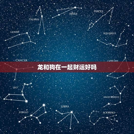 龙和狗在一起财运好吗,属龙和属狗的人财运相冲吗? 龙和狗在一起财运好吗,属龙和属狗的人财运相冲吗?