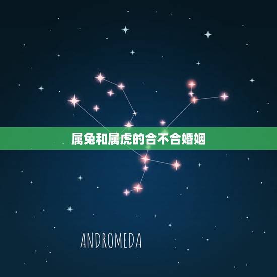 属兔和属虎的合不合婚姻,属虎和属兔结婚好不好 属兔和属虎的合不合婚姻,属虎和属兔结婚好不好