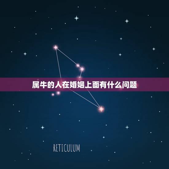 属牛的人在婚姻上面有什么问题，属牛人的婚姻