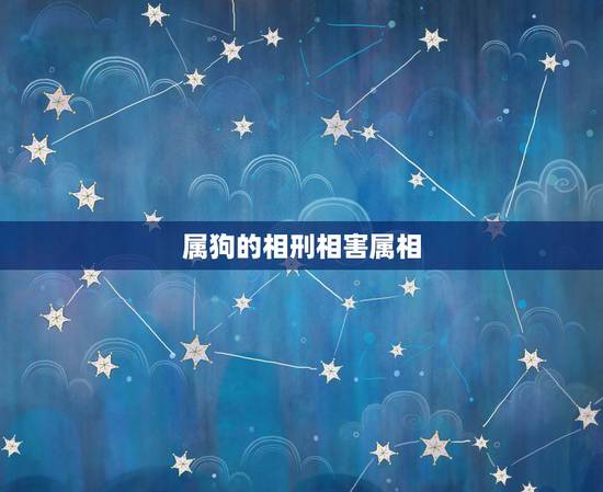 属狗的相刑相害属相，属马的和什么属相相冲
