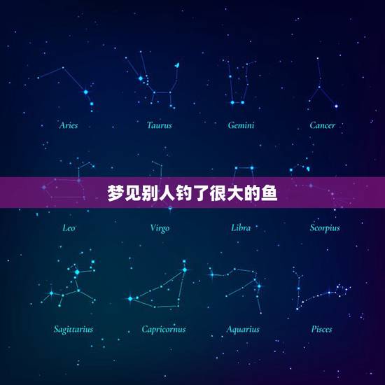 梦见别人钓了很大的鱼，梦到看见别人钓到好大好大的鱼，结果拉上来是假的（