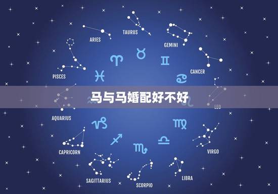 马与马婚配好不好，男马女马婚姻状况