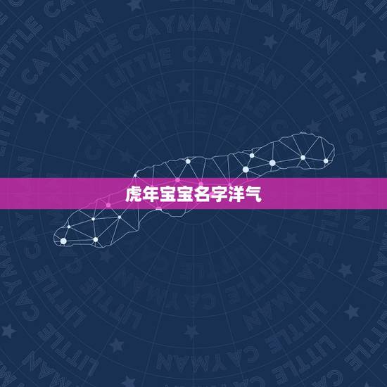 虎年宝宝名字洋气，虎年取什么小名