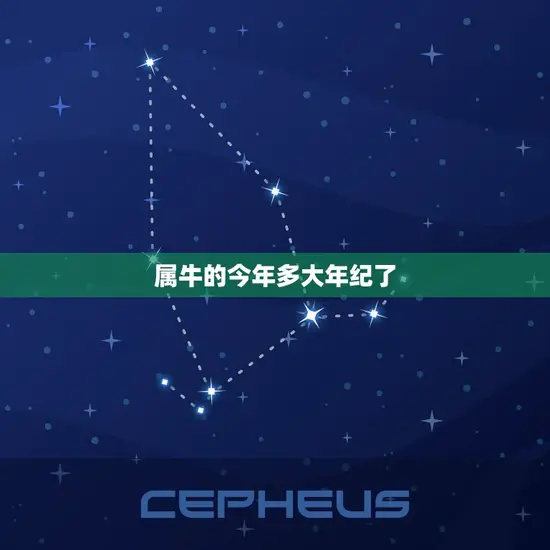属牛的今年多大年纪了 属牛的今年多大年纪了