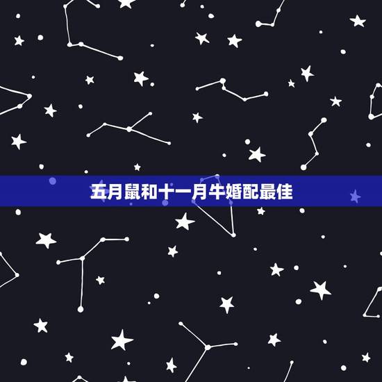 五月鼠和十一月牛婚配最佳,农历十月出生的鼠和农历十一月出生的牛相配吗 五月鼠和十一月牛婚配最佳,农历十月出生的鼠和农历十一月出生的牛相配吗