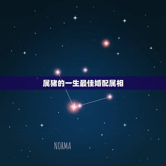 属猪的一生最佳婚配属相,属猪配什么属相最合适 属猪的一生最佳婚配属相,属猪配什么属相最合适
