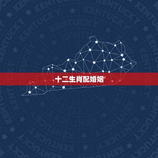 十二生肖配婚姻,十二生肖婚姻配对大全? 十二生肖配婚姻,十二生肖婚姻配对大全?