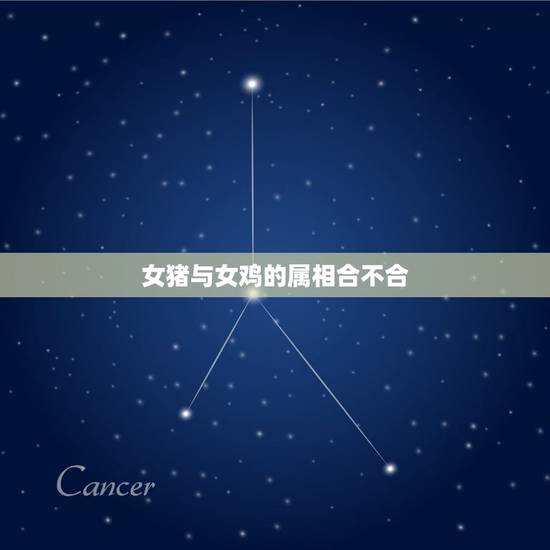 女猪与女鸡的属相合不合，属鸡女和属猪的合得来吗？