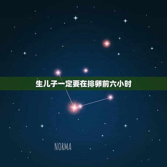 生儿子一定要在排卵前六小时，生男孩的科学依据，真真的很急啊，已经第三胎