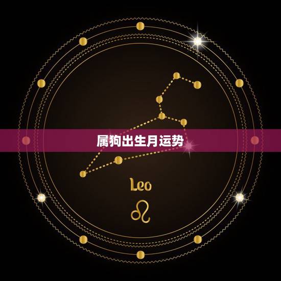 属狗出生月运势，属狗八月出生运势怎样