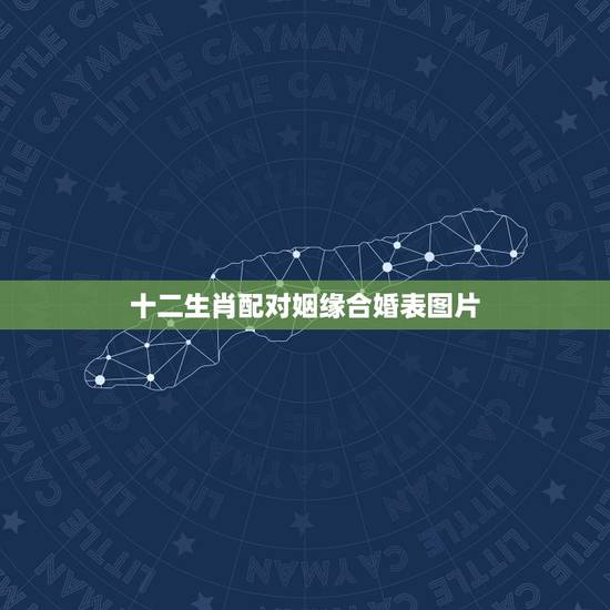 十二生肖配对姻缘合婚表图片，婚姻属相配对大全很准
