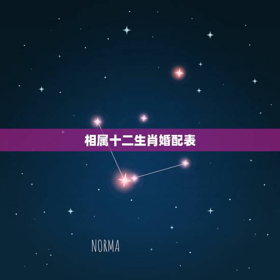 相属十二生肖婚配表，12生肖排序婚配表