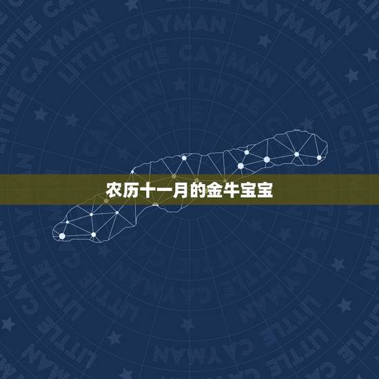 农历十一月的金牛宝宝,金牛座的宝宝都是些什么性格 农历十一月的金牛宝宝,金牛座的宝宝都是些什么性格
