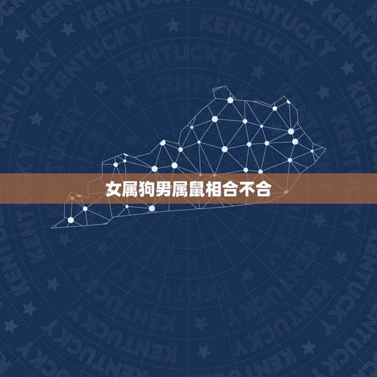 女属狗男属鼠相合不合,1994年属狗更佳婚配 女属狗男属鼠相合不合,1994年属狗更佳婚配
