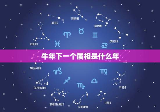 牛年下一个属相是什么年，牛年后面再是什么生肖年？