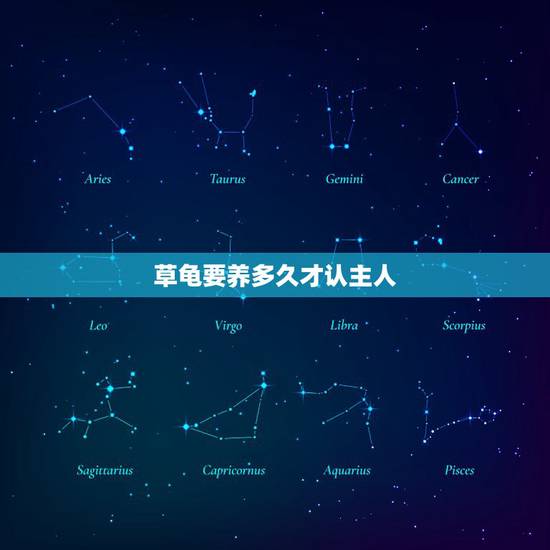 草龟要养多久才认主人，中华草龟有灵性吗，一般养多久才可能认得了主人