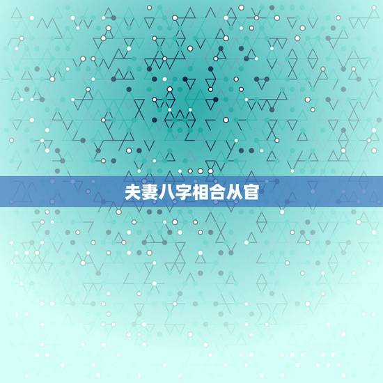 夫妻八字相合从官，合夫妻宫或是合官，还有官年是什么意思啊？请会看八字的