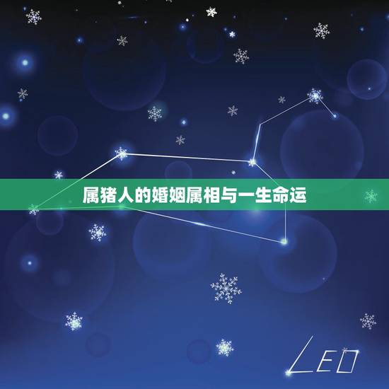 属猪人的婚姻属相与一生命运，属猪的婚姻和命运