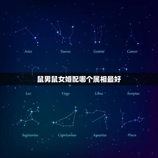 鼠男鼠女婚配哪个属相最好，属相婚配属鼠的男性配什么属象的女性