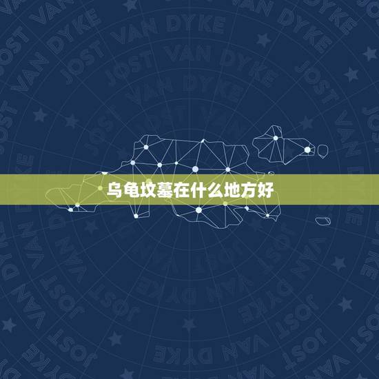 乌龟坟墓在什么地方好，乌龟死后应该怎么办才好。要埋在什么地方才对他好
