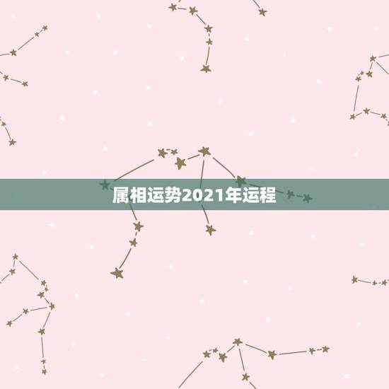 属相运势2021年运程，十二生肖2021年运势及运程每月运程